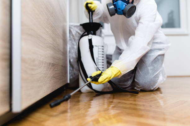 Best Emergency Pest Control  in Coburg, OR