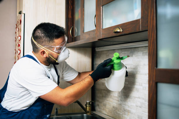 Best Pest Control Near Me  in Coburg, OR