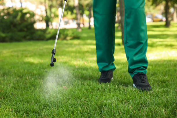 Best Spider Control Near Me  in Coburg, OR