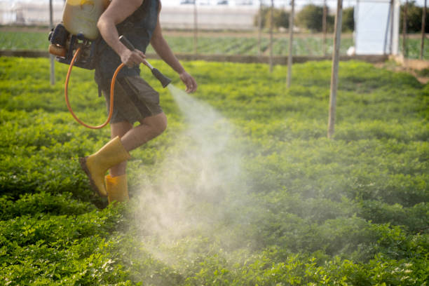 Best Emergency Pest Control  in Coburg, OR