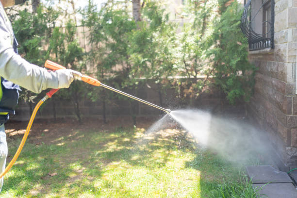 Best Local Pest Control Services  in Coburg, OR