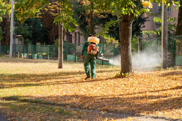 Best Affordable Pest Control Services  in Coburg, OR