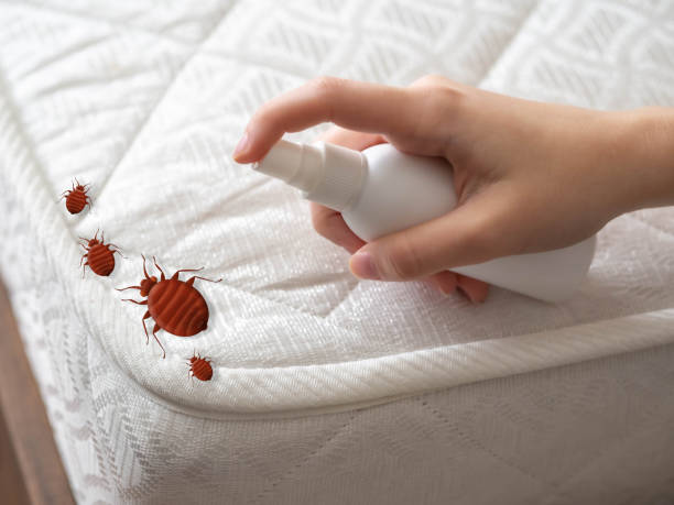 Best Bed Bug Extermination  in Coburg, OR