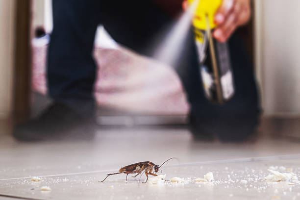 Best Affordable Pest Control Services  in Coburg, OR