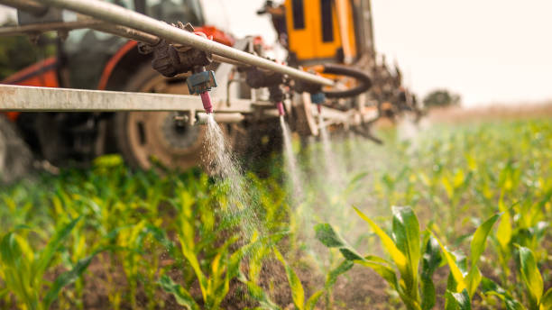 Best Wildlife Control Services  in Coburg, OR